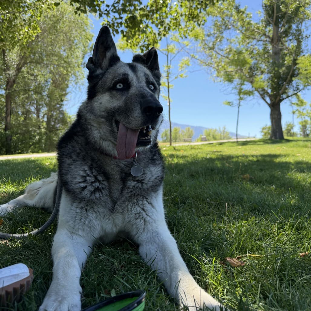 Todd, photo 13