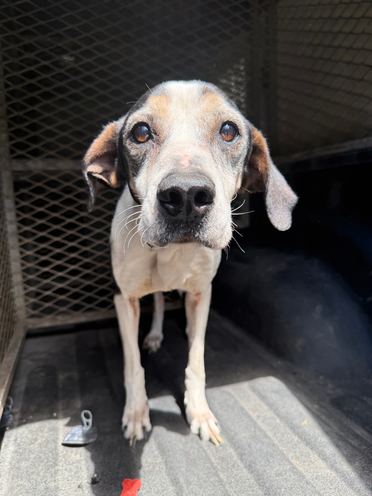 Lucille, photo 3