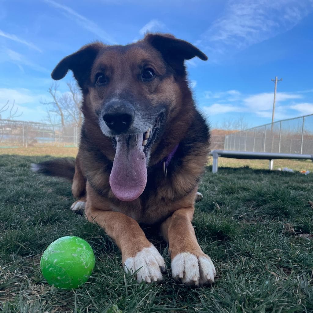 Rusty, photo 35