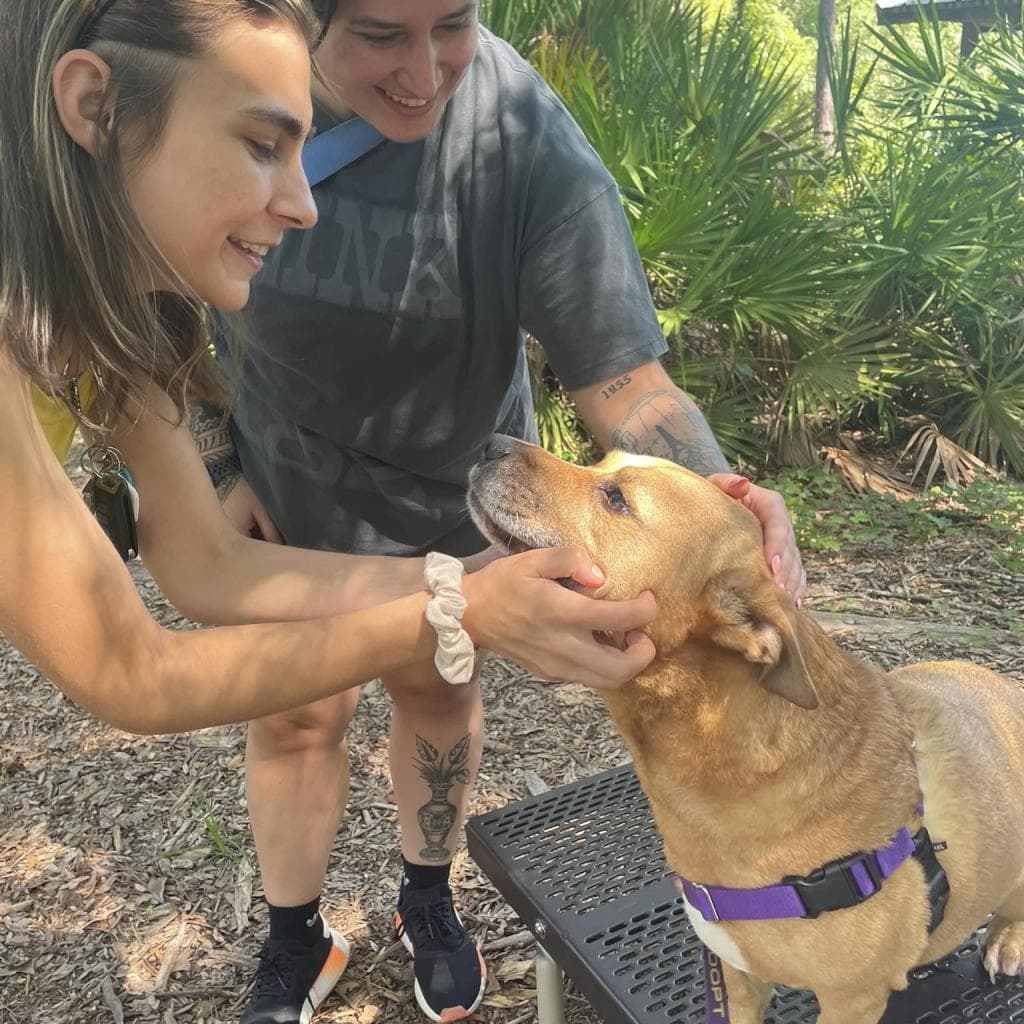 Jaxy, photo 11