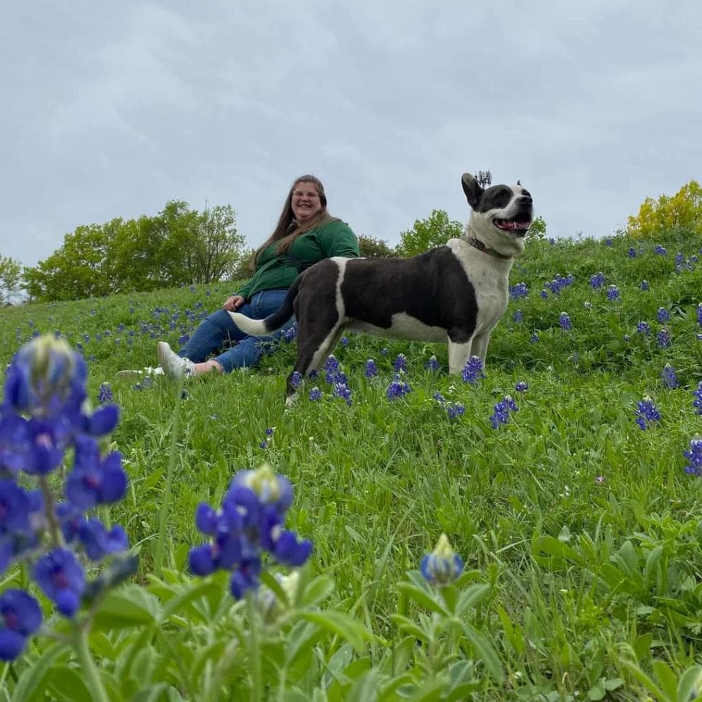Bluebelle, photo 5