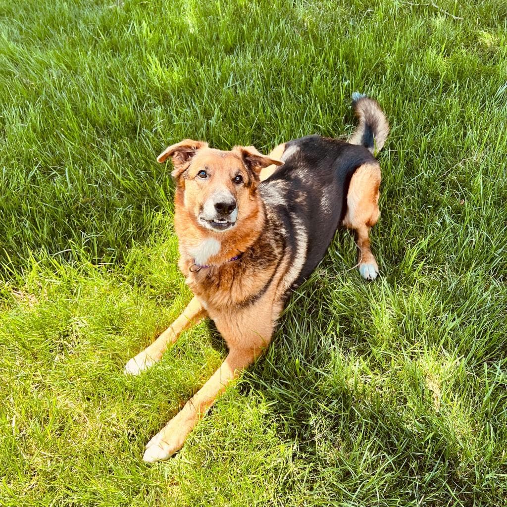 Rusty, photo 23