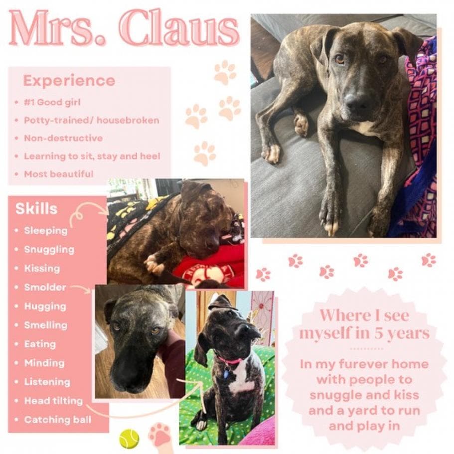 Mrs. Claus (I have a Secret Crush!), photo 8