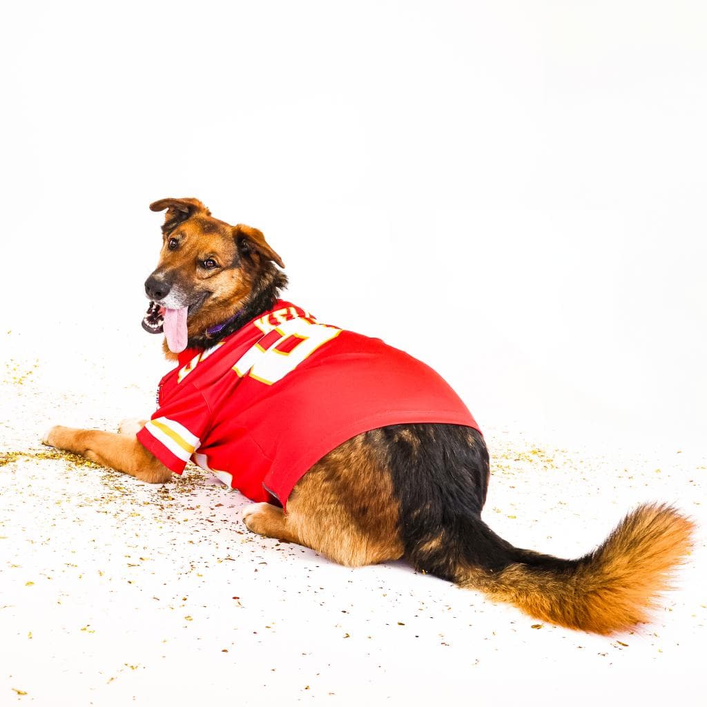 Rusty, photo 61