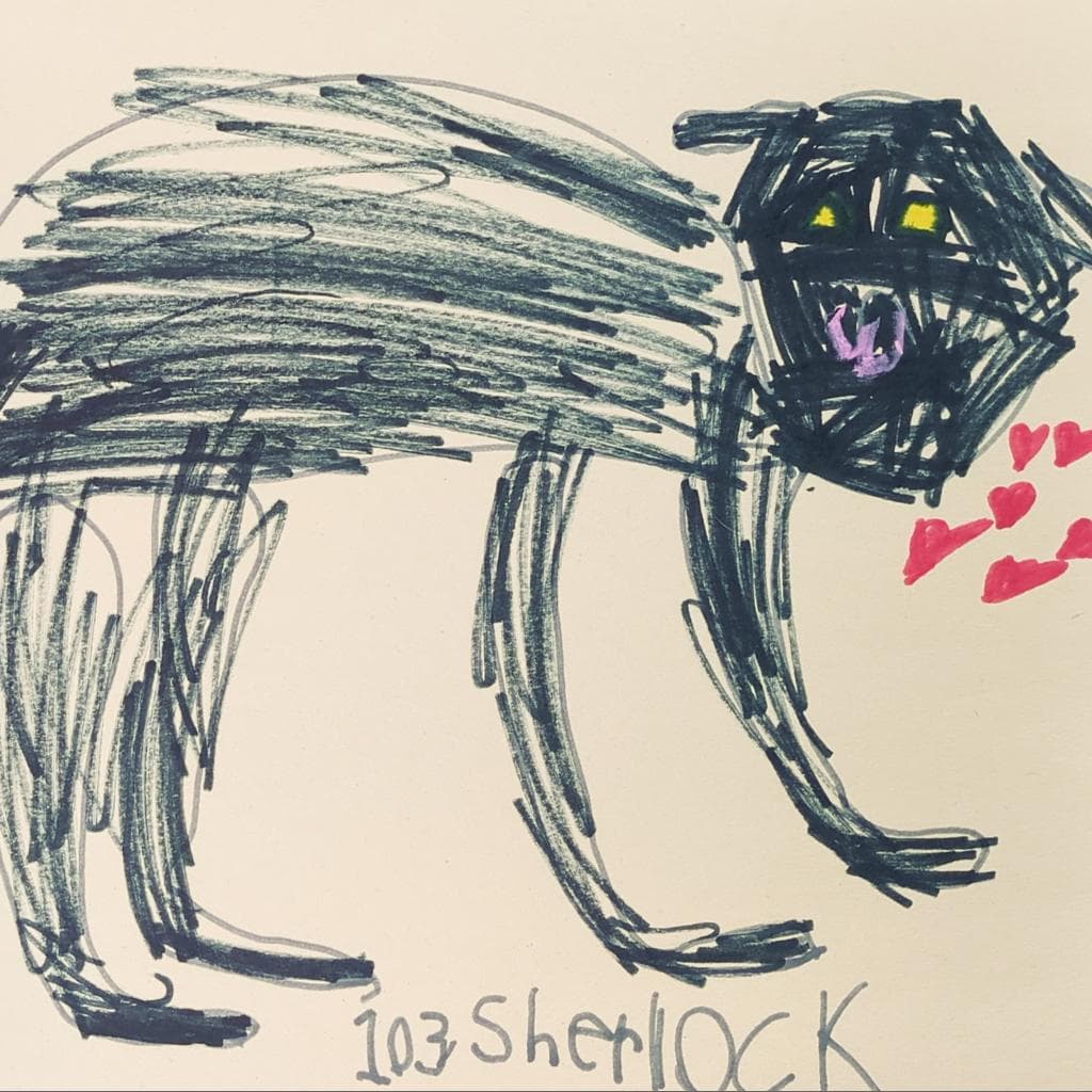 Sherlock, photo 3