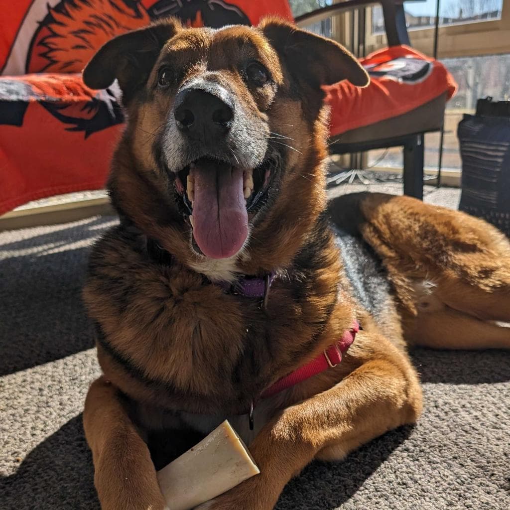 Rusty, photo 47