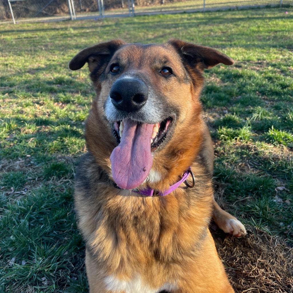 Rusty, photo 66