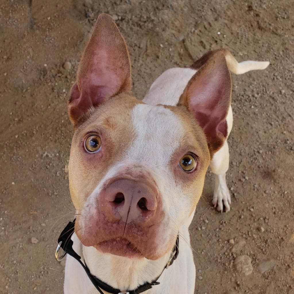 Cash, photo 14