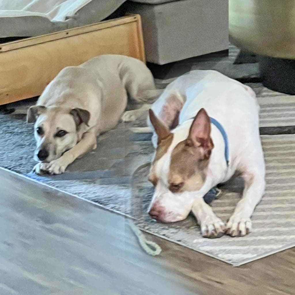 Cash, photo 4
