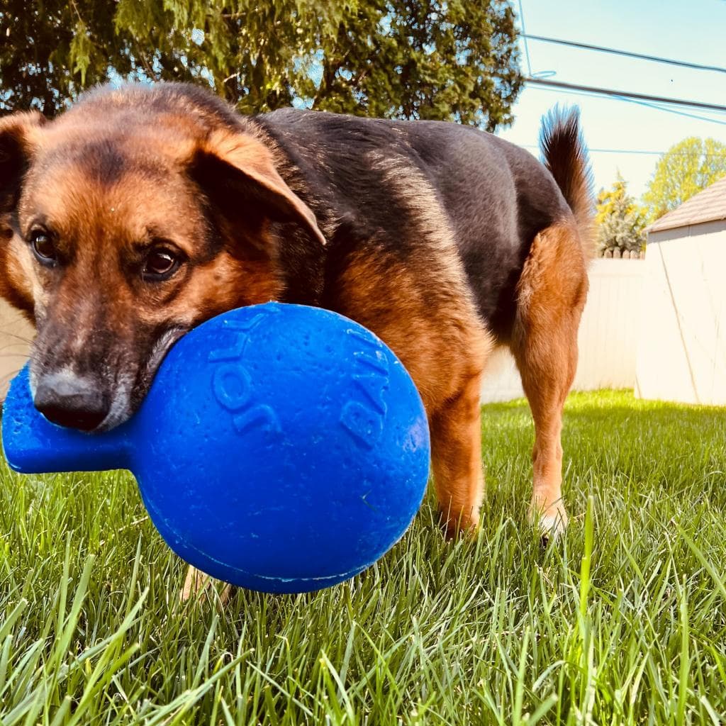 Rusty, photo 20