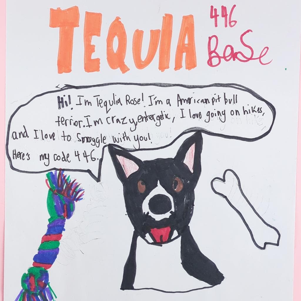 Tequila Rose, photo 3