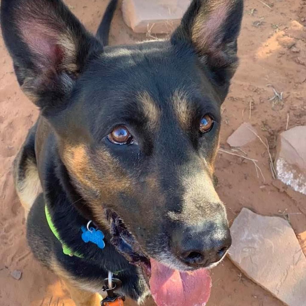 Pharaoh, photo 19