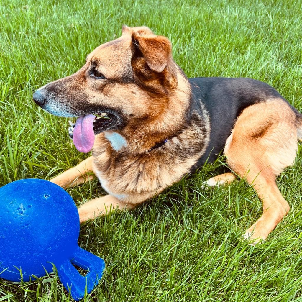 Rusty, photo 18