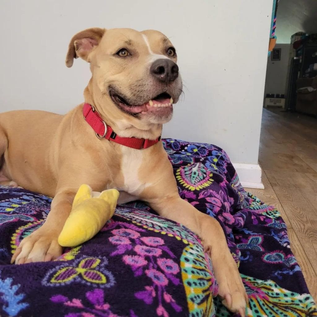 Legacy (Leggy Lou), photo 11
