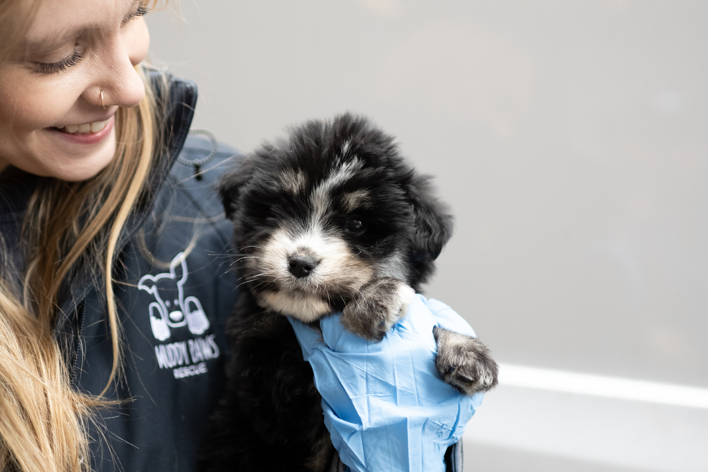 The 12 best places to adopt a dog in New York State
